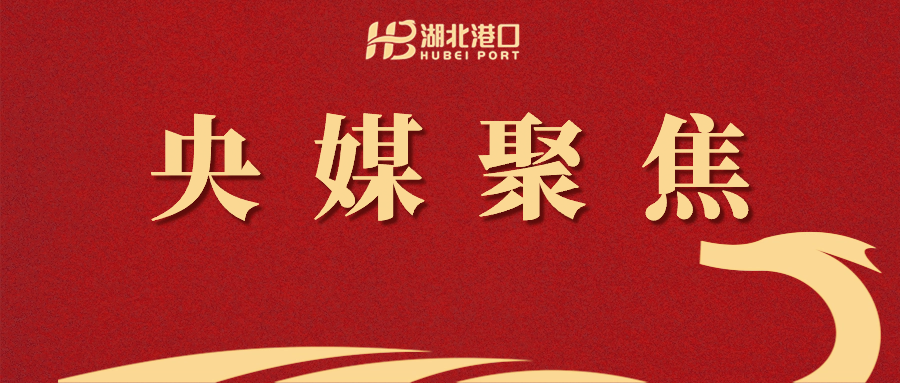 首页|壹号娱乐 - 相信品牌的实力